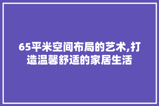 65平米空间布局的艺术,打造温馨舒适的家居生活