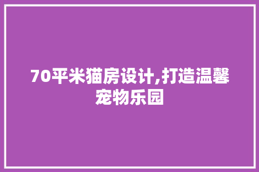 70平米猫房设计,打造温馨宠物乐园