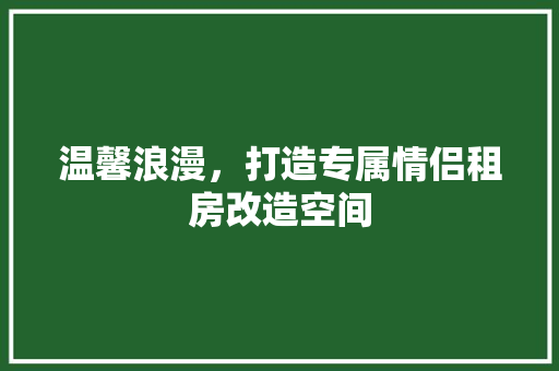 温馨浪漫，打造专属情侣租房改造空间