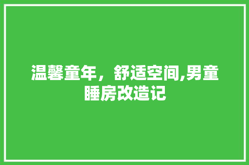 温馨童年，舒适空间,男童睡房改造记