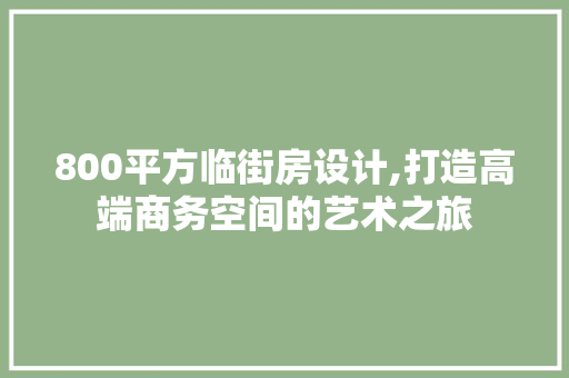 800平方临街房设计,打造高端商务空间的艺术之旅