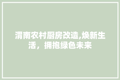 渭南农村厨房改造,焕新生活，拥抱绿色未来