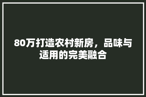 80万打造农村新房，品味与适用的完美融合
