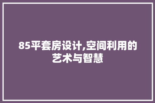 85平套房设计,空间利用的艺术与智慧