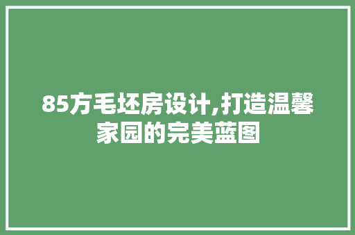 85方毛坯房设计,打造温馨家园的完美蓝图