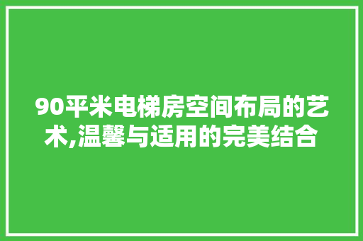 90平米电梯房空间布局的艺术,温馨与适用的完美结合
