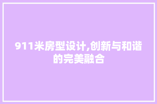 911米房型设计,创新与和谐的完美融合