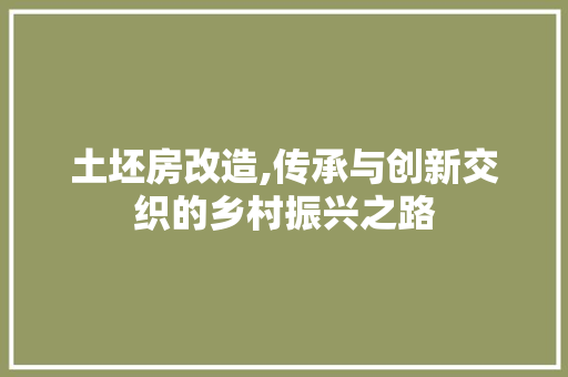 土坯房改造,传承与创新交织的乡村振兴之路
