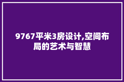 9767平米3房设计,空间布局的艺术与智慧