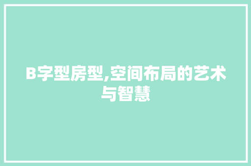 B字型房型,空间布局的艺术与智慧