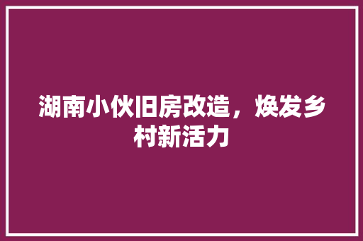 湖南小伙旧房改造，焕发乡村新活力