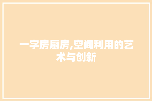 一字房厨房,空间利用的艺术与创新
