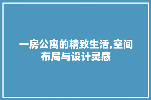 一房公寓的精致生活,空间布局与设计灵感