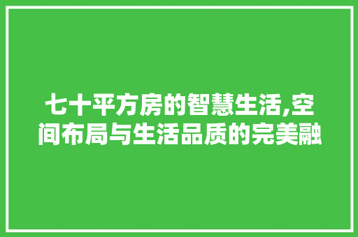 七十平方房的智慧生活,空间布局与生活品质的完美融合
