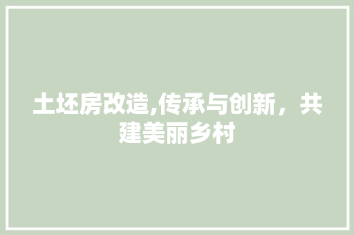 土坯房改造,传承与创新，共建美丽乡村