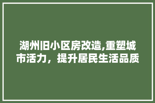 湖州旧小区房改造,重塑城市活力，提升居民生活品质
