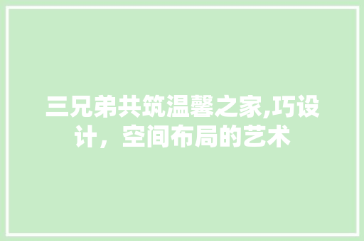 三兄弟共筑温馨之家,巧设计，空间布局的艺术
