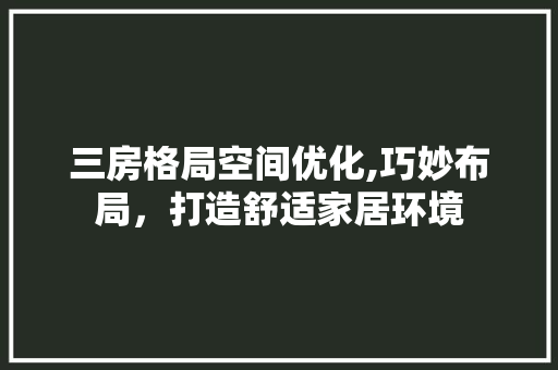 三房格局空间优化,巧妙布局，打造舒适家居环境