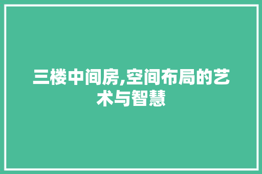 三楼中间房,空间布局的艺术与智慧