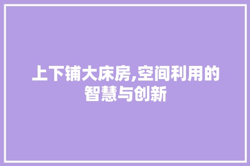 上下铺大床房,空间利用的智慧与创新