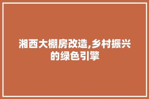 湘西大棚房改造,乡村振兴的绿色引擎