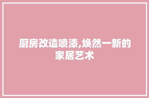 厨房改造喷漆,焕然一新的家居艺术
