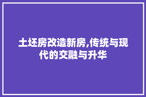 土坯房改造新房,传统与现代的交融与升华