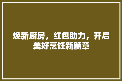 焕新厨房，红包助力，开启美好烹饪新篇章