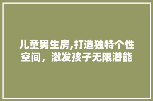 儿童男生房,打造独特个性空间，激发孩子无限潜能