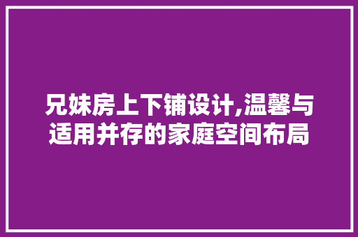 兄妹房上下铺设计,温馨与适用并存的家庭空间布局
