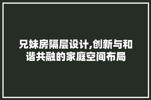 兄妹房隔层设计,创新与和谐共融的家庭空间布局