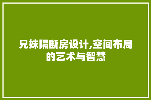 兄妹隔断房设计,空间布局的艺术与智慧