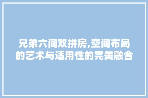 兄弟六间双拼房,空间布局的艺术与适用性的完美融合