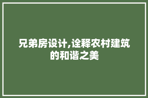兄弟房设计,诠释农村建筑的和谐之美