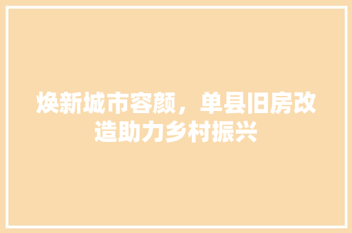 焕新城市容颜，单县旧房改造助力乡村振兴