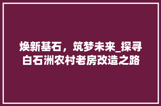 焕新基石，筑梦未来_探寻白石洲农村老房改造之路
