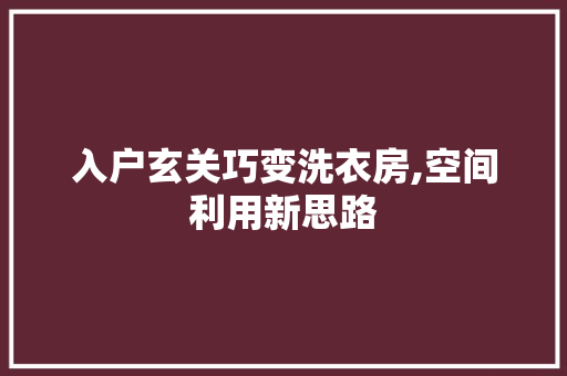 入户玄关巧变洗衣房,空间利用新思路