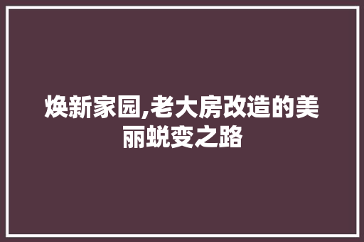 焕新家园,老大房改造的美丽蜕变之路