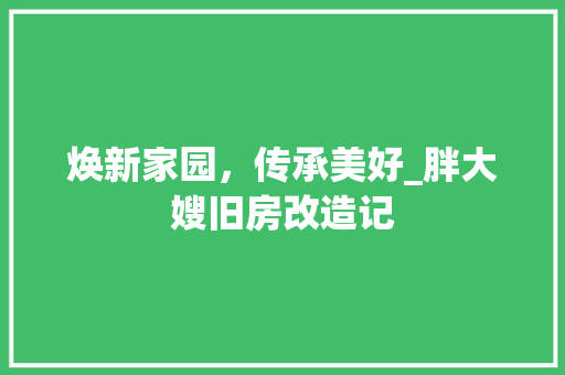 焕新家园，传承美好_胖大嫂旧房改造记