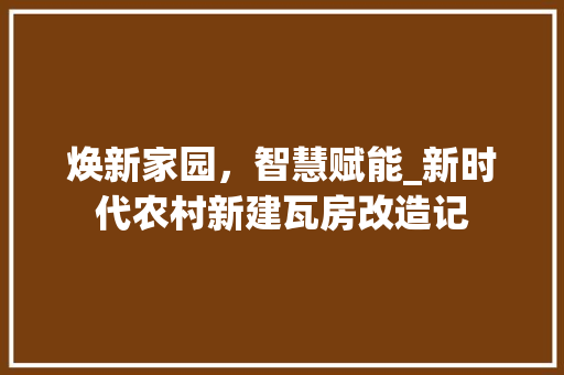 焕新家园，智慧赋能_新时代农村新建瓦房改造记