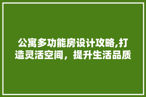 公寓多功能房设计攻略,打造灵活空间，提升生活品质