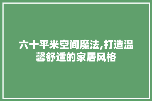 六十平米空间魔法,打造温馨舒适的家居风格
