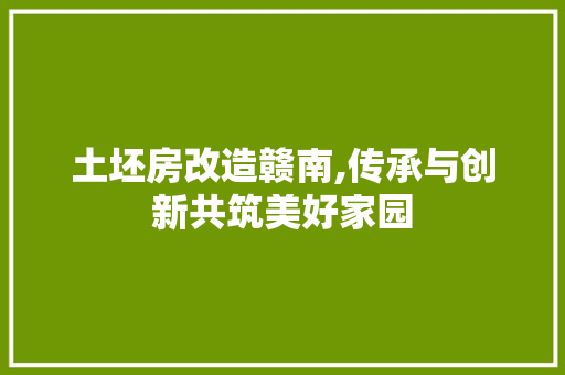 土坯房改造赣南,传承与创新共筑美好家园
