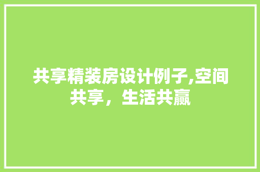 共享精装房设计例子,空间共享，生活共赢