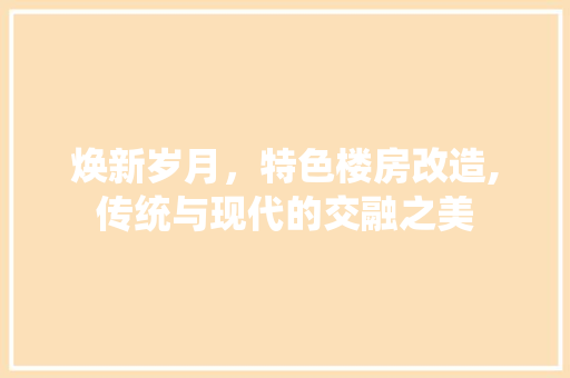 焕新岁月，特色楼房改造,传统与现代的交融之美