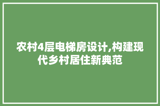 农村4层电梯房设计,构建现代乡村居住新典范