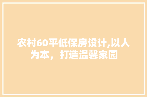 农村60平低保房设计,以人为本，打造温馨家园