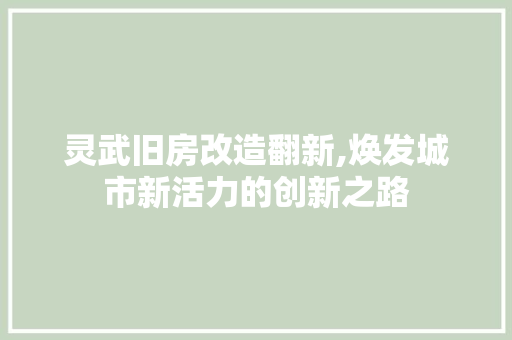 灵武旧房改造翻新,焕发城市新活力的创新之路