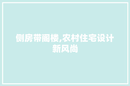 侧房带阁楼,农村住宅设计新风尚