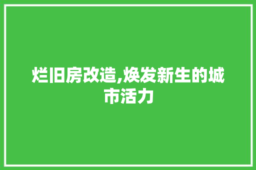 烂旧房改造,焕发新生的城市活力